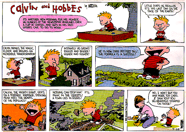 Calvin and Hobbes comic