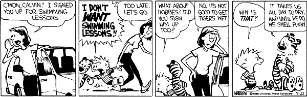 Calvin and Hobbes comic