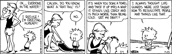 Calvin and Hobbes comic
