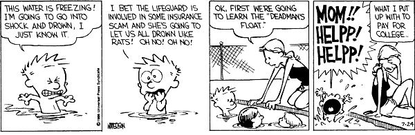 Calvin and Hobbes comic