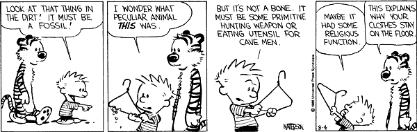 Calvin and Hobbes comic