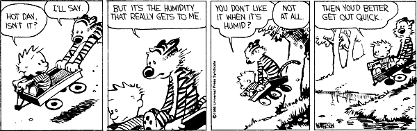 Calvin and Hobbes comic