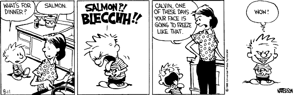 Calvin and Hobbes comic