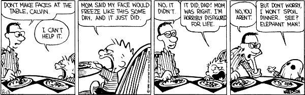 Calvin and Hobbes comic