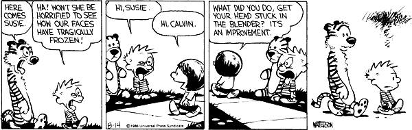Calvin and Hobbes comic
