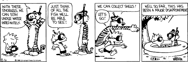 Calvin and Hobbes comic
