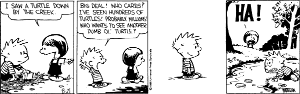 Calvin and Hobbes comic