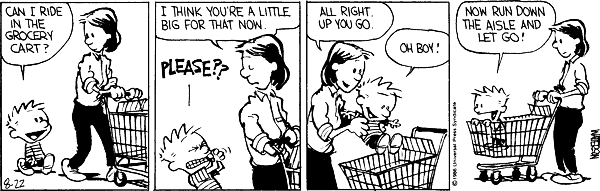 Calvin and Hobbes comic