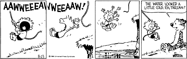 Calvin and Hobbes comic