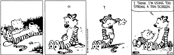 Calvin and Hobbes comic