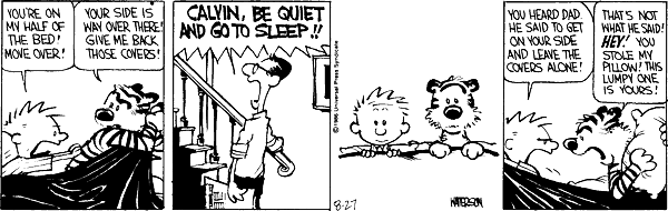 Calvin and Hobbes comic