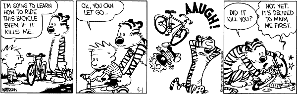 Calvin and Hobbes comic