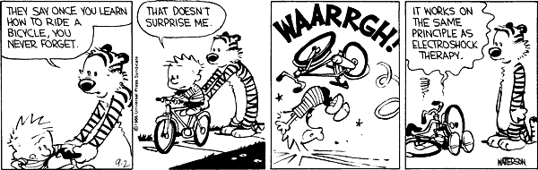 Calvin and Hobbes comic