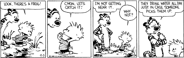 Calvin and Hobbes comic