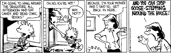 Calvin and Hobbes comic
