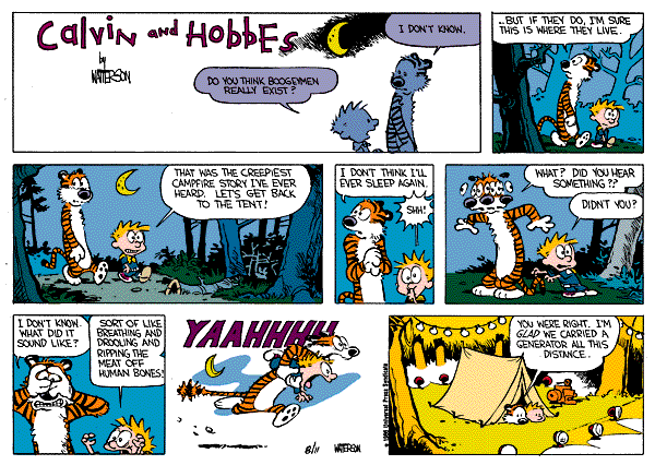 Calvin and Hobbes comic