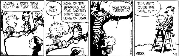 Calvin and Hobbes comic