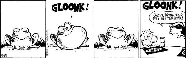 Calvin and Hobbes comic