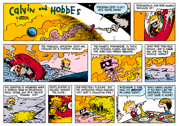 Calvin and Hobbes comic
