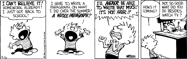 Calvin and Hobbes comic