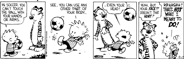 Calvin and Hobbes comic