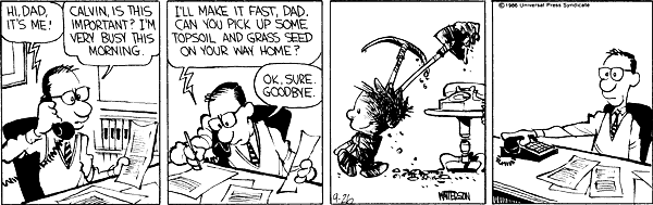 Calvin and Hobbes comic