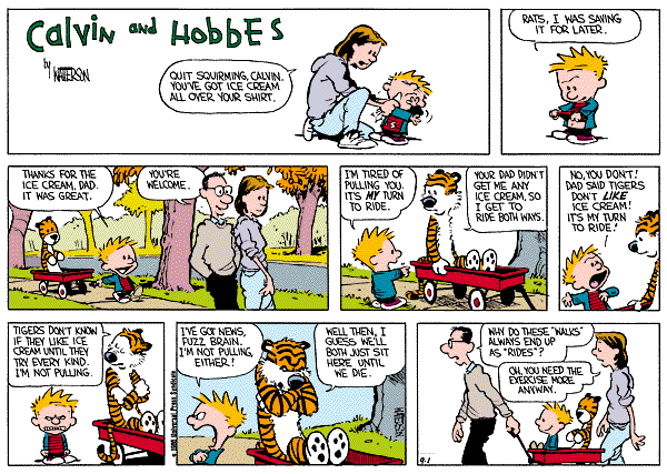 Calvin and Hobbes comic