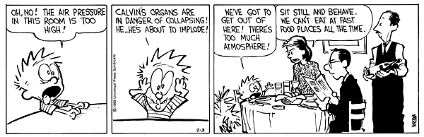 Calvin eats at a restaurant with too much atmosphere