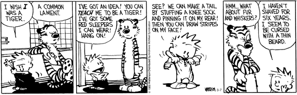 Kim's Calvin and Hobbes Page - Calvinball