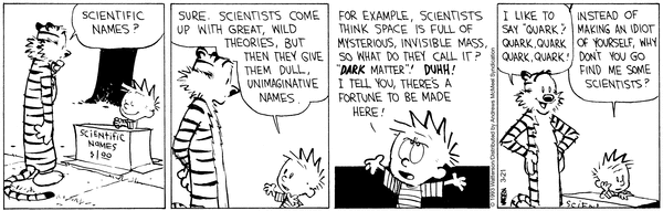 Daily Calvin & Hobbes