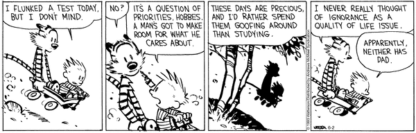 Daily Calvin & Hobbes