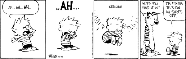 Calvin et Hobbes