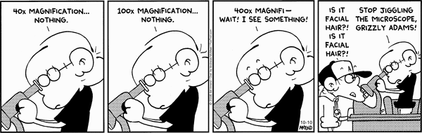 FoxTrot